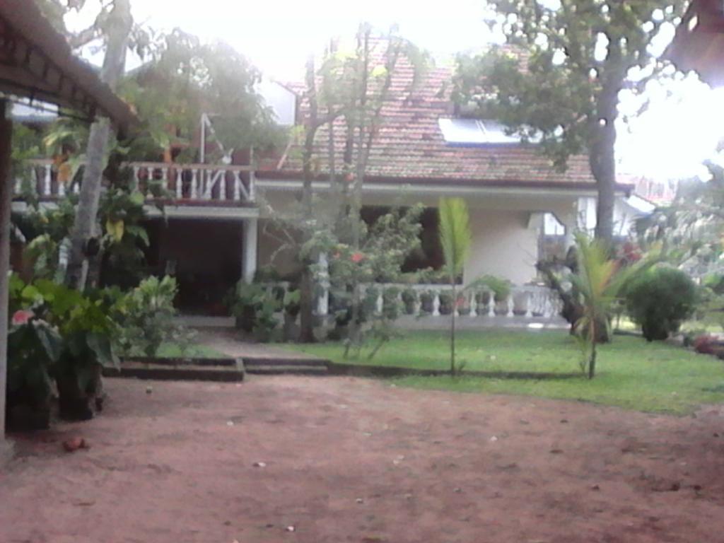 Villa Pala Negombo Ngoại thất bức ảnh